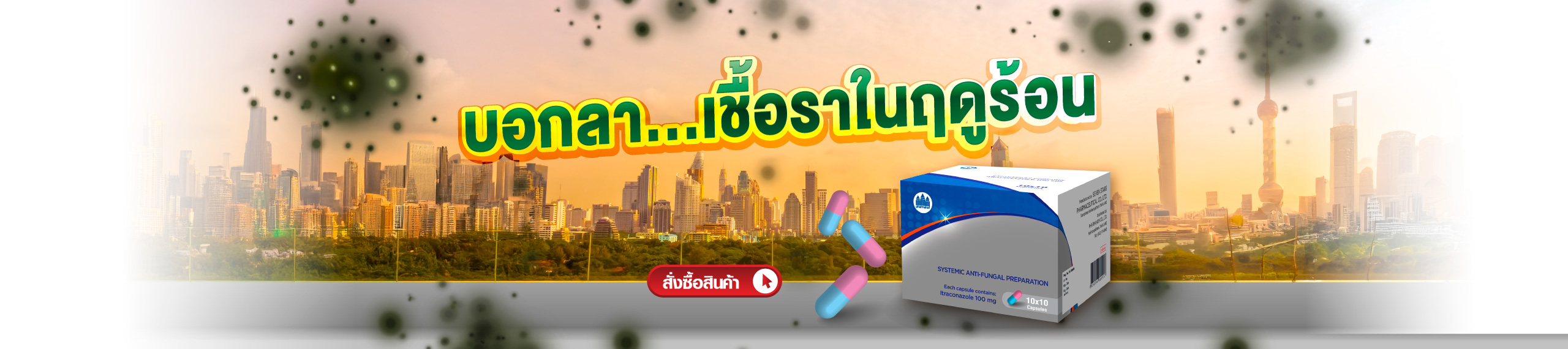 เชื้อรา